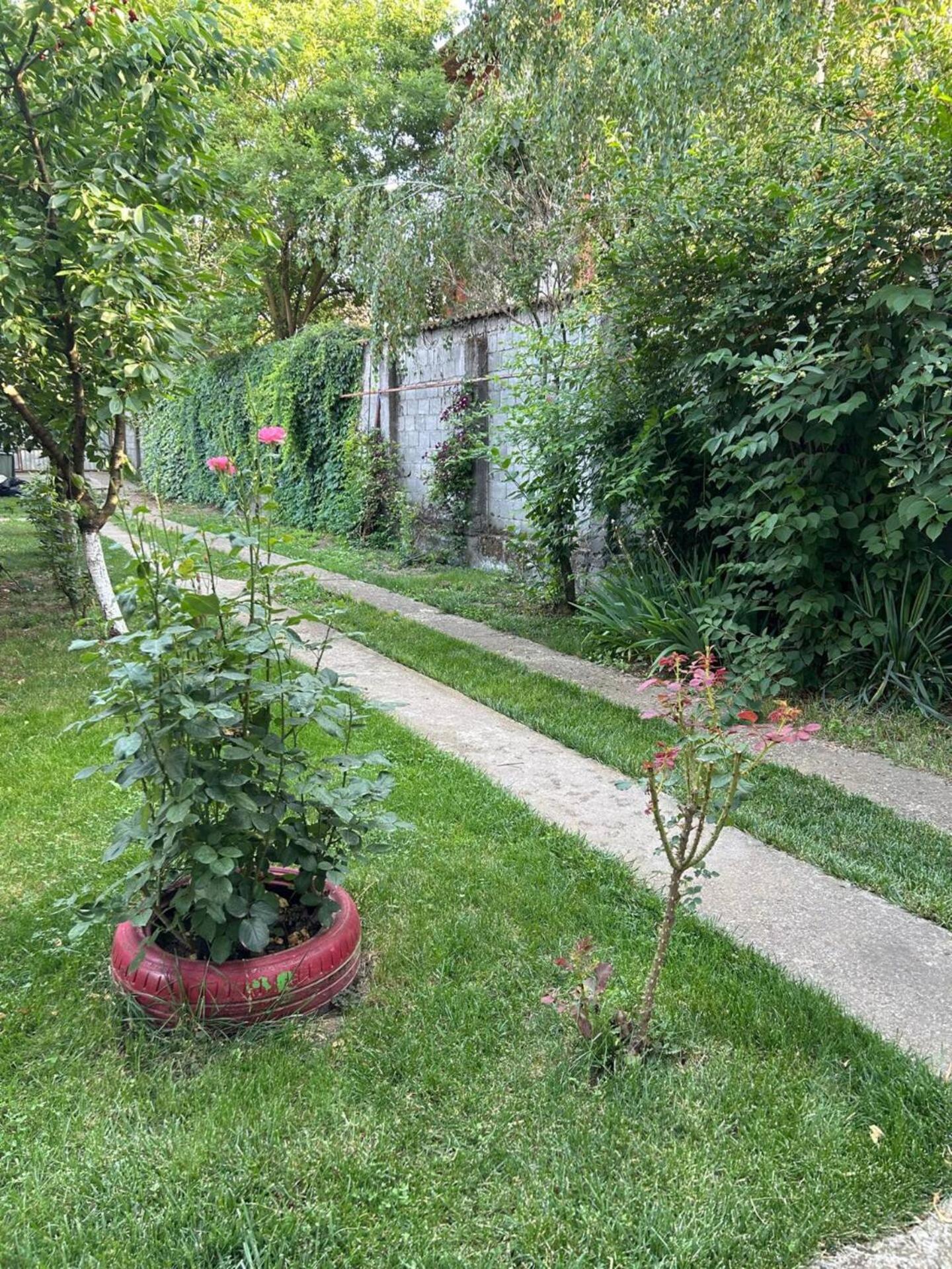 Vila De Inchiriat Aproape De Therme Balotesti Exteriör bild